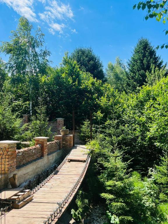 Casa Cu Mesteceni Ришнов Екстер'єр фото