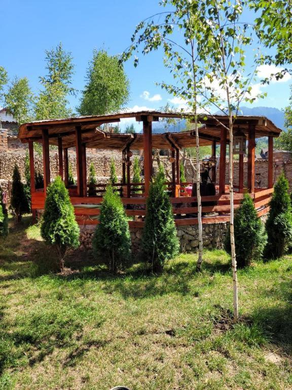 Casa Cu Mesteceni Ришнов Екстер'єр фото